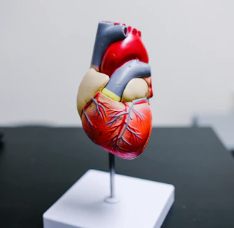 red and yellow bird figurine